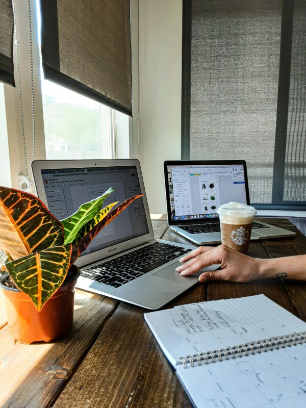 A modern workspace with two laptops, a coffee cup, and a plant on a wooden desk.