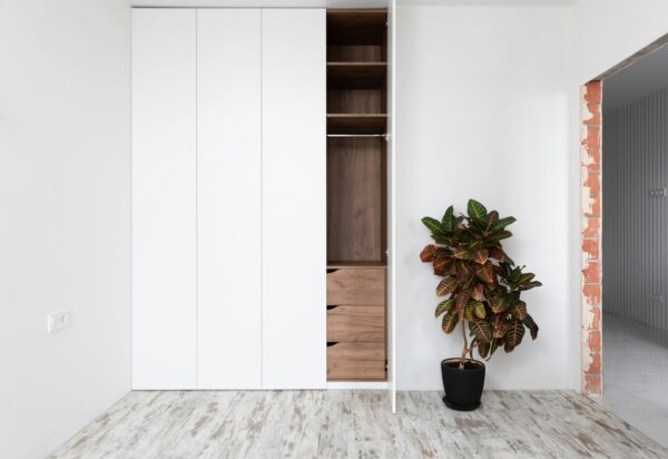 A minimalist interior featuring an open wardrobe and a codiaeum variegatum plant.