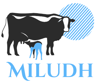 miludh.shop
